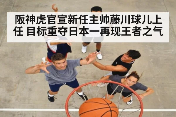 阪神虎官宣新任主帅藤川球儿上任 目标重夺日本一再现王者之气